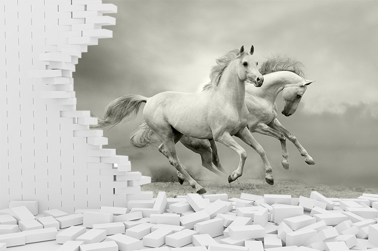 کاغذ دیواری سه بعدی طرح اسب