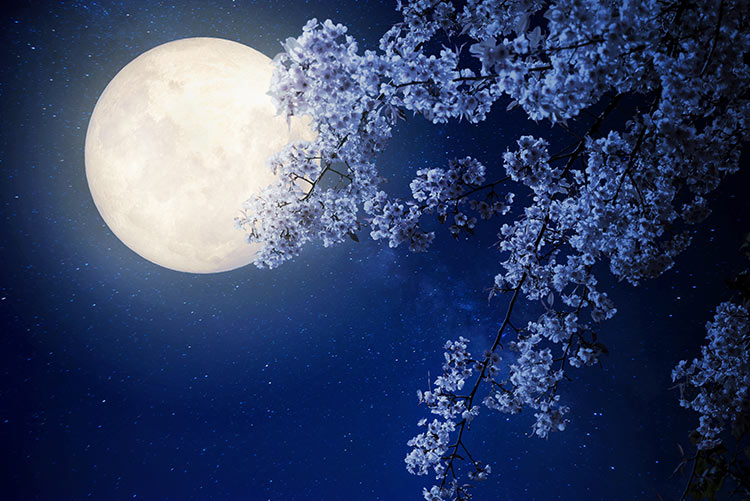 پوستر دیواری آسمان شب