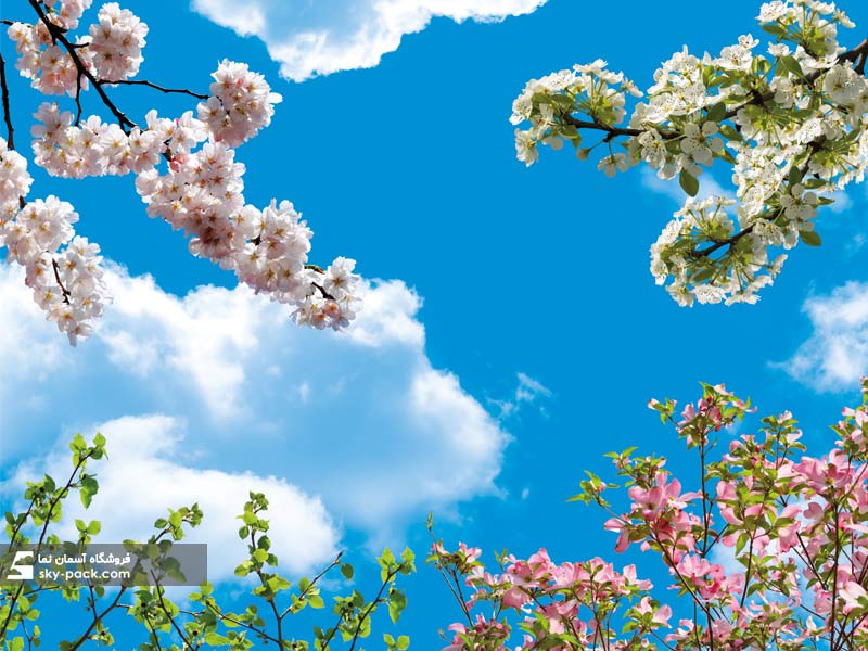 آسمان مجازی آشپزخانه  طرح گل و شکوفه