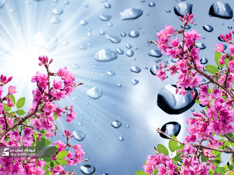 آسمان مجازی طرح گل و قطره