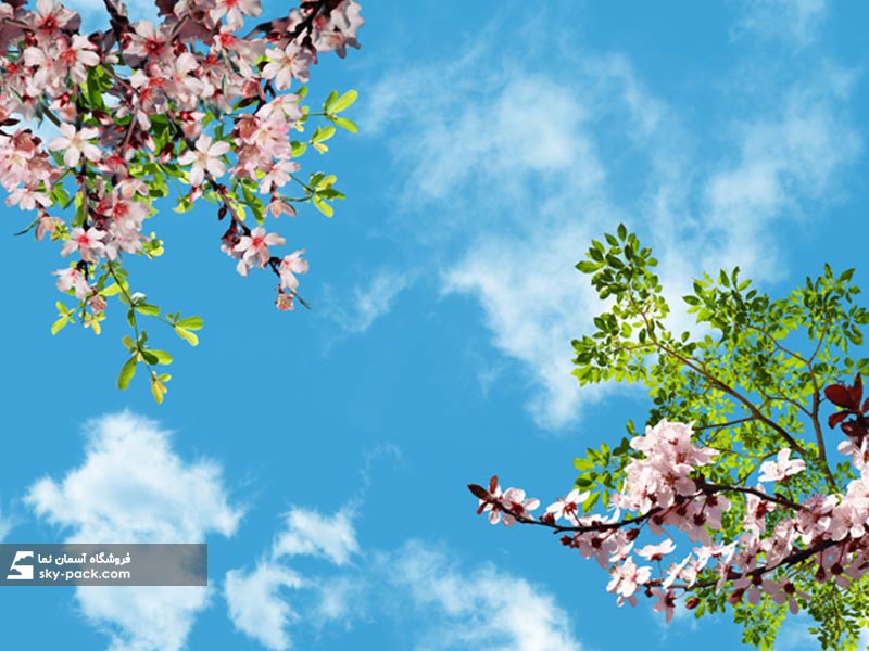 آسمان مجازی طرح درختان بهاری 