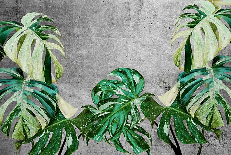کاغذ دیواری سه بعدی طرح دیوار سیمانی