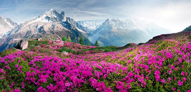 پوستر سه بعدی طبیعت کوهستان