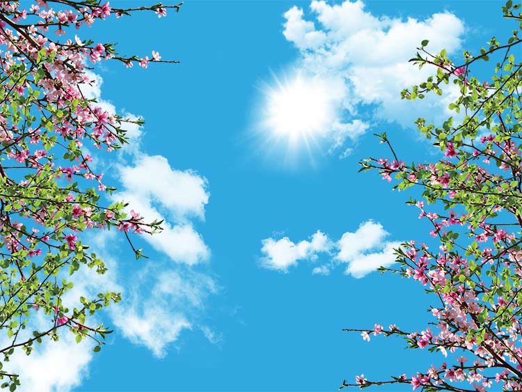 پوستر سقفی آسمان طرح بهار