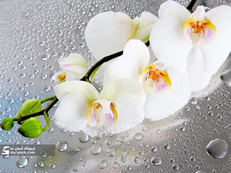 آسمان مجازی طرح ارکیده  با قطره 