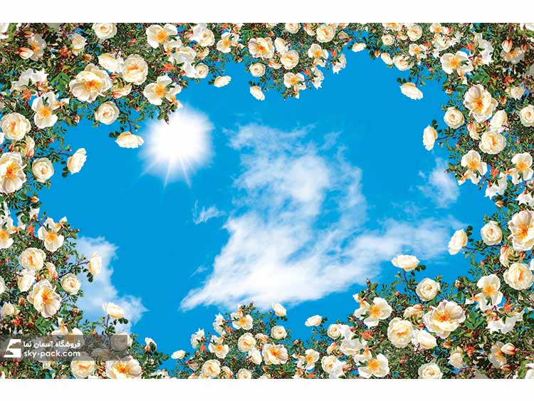 آسمان مجازی گلهای رز سفید