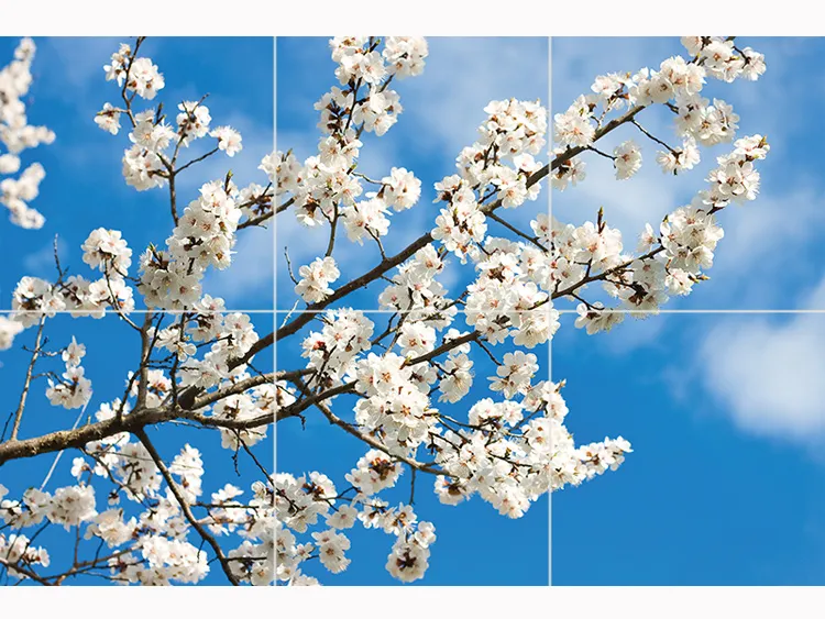 آسمان مجازی طرح شکوفه