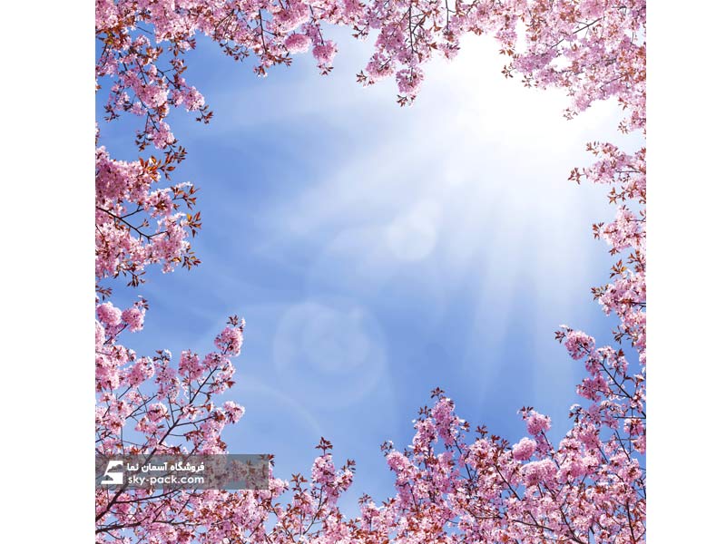 آسمان مجازی طرح شکوفه هاو گل