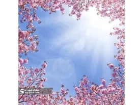 آسمان مجازی طرح شکوفه هاو گل
