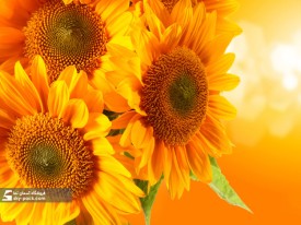 آسمان مجازی طرح پاییز