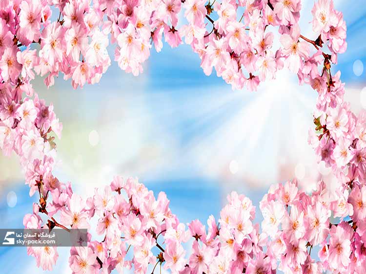 آسمان مجازی طرح شکوفه های زیبا